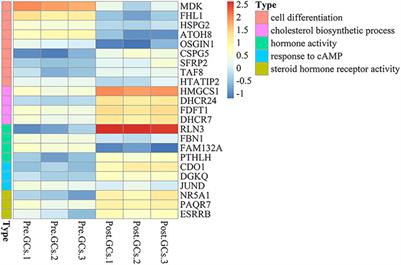 Identification of genes involved in chicken follicle selection by ONT sequencing on granulosa cells